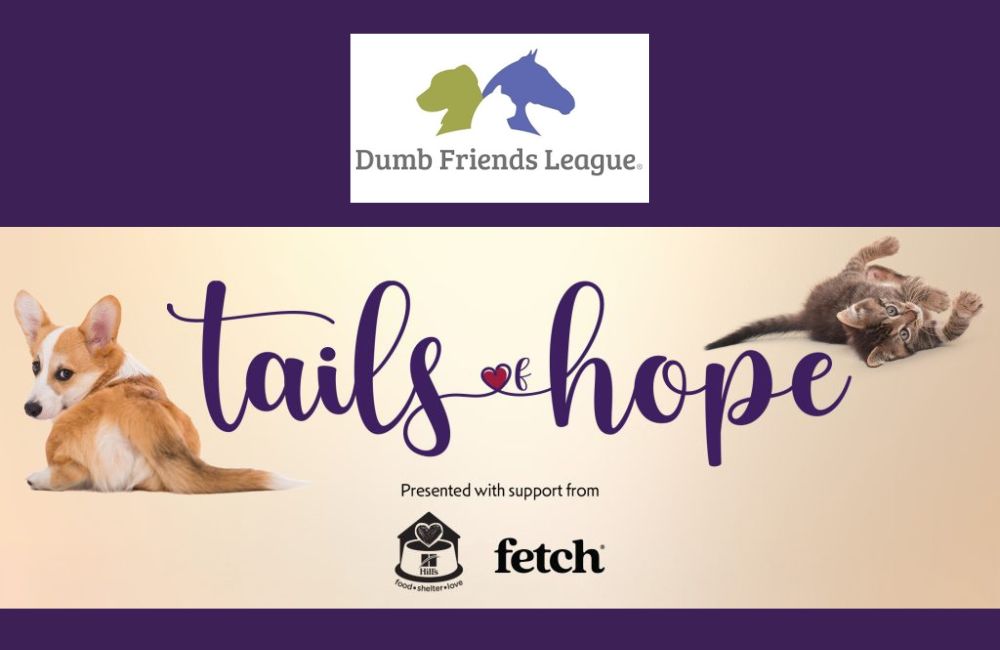 Dumb Friends League | Tails of Hope Gala