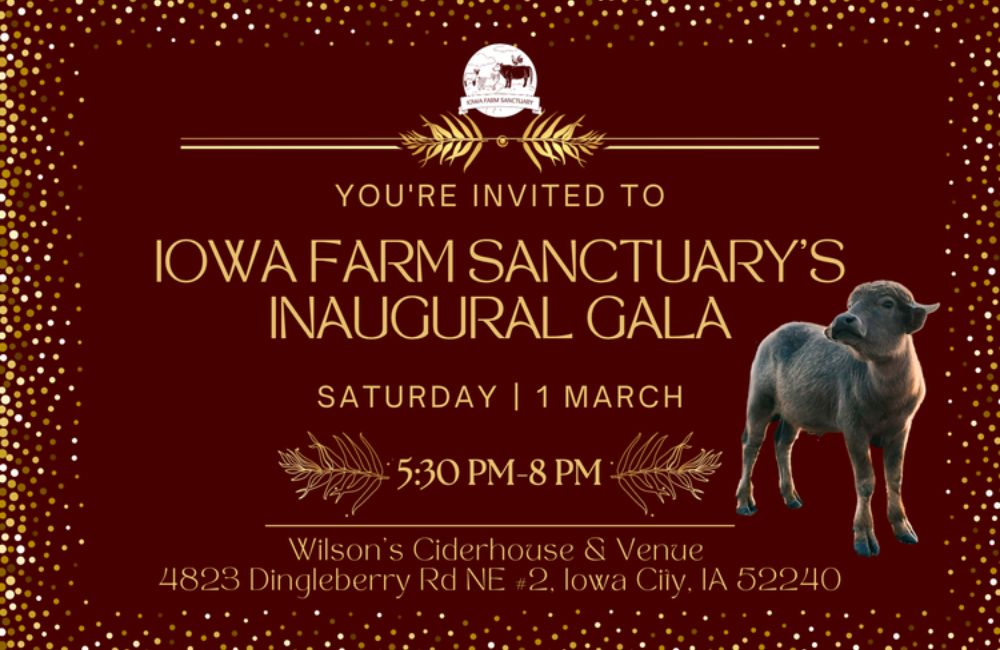 Iowa Farm Sanctuary’s Inaugural Gala