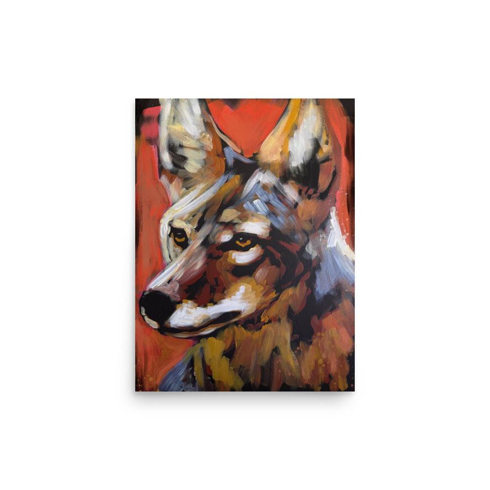 Coyote